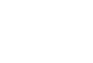 David Bliss Signature